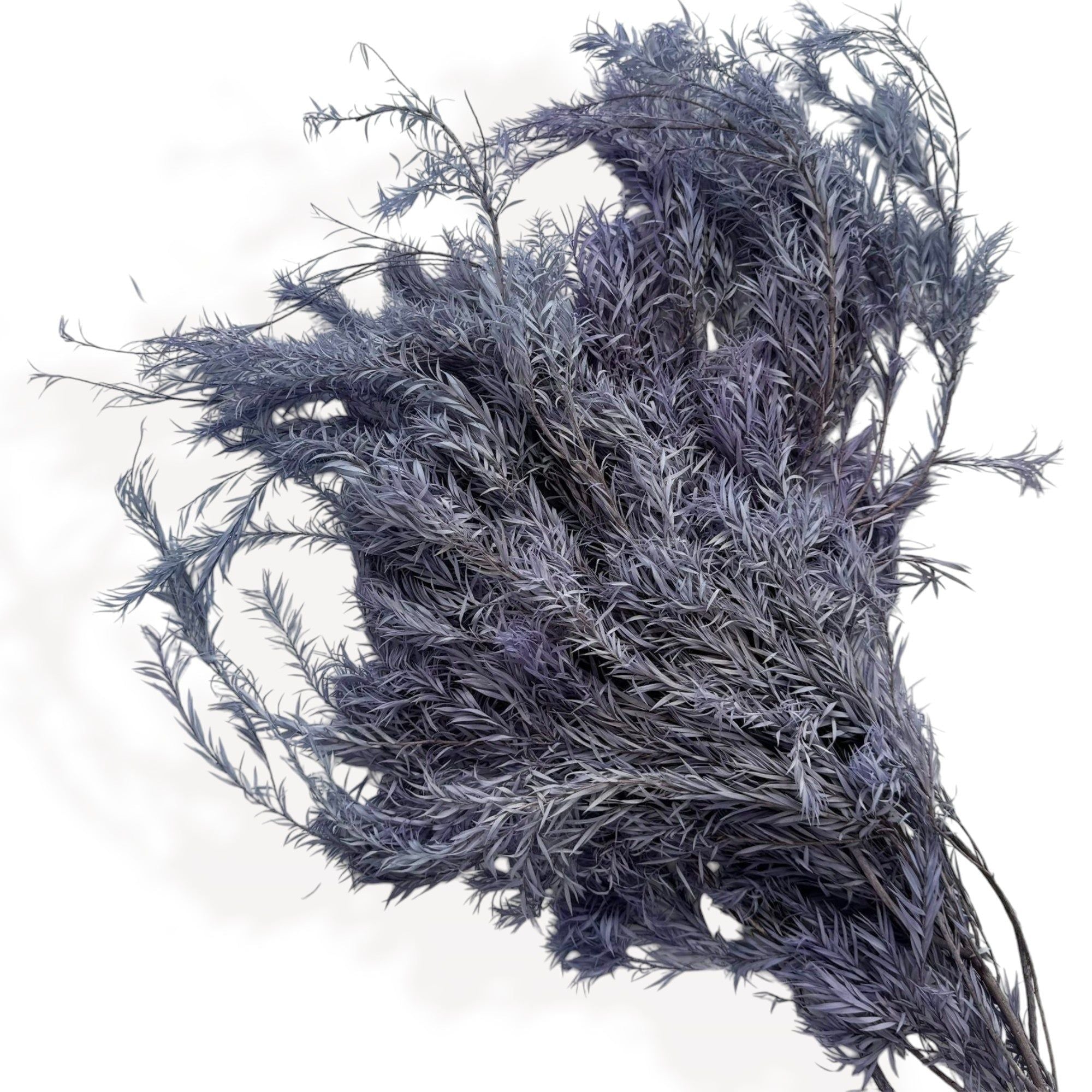 Alilang Dried Flowers Rosemary Branch Arrangement for Home Decor, 29.5 Inches