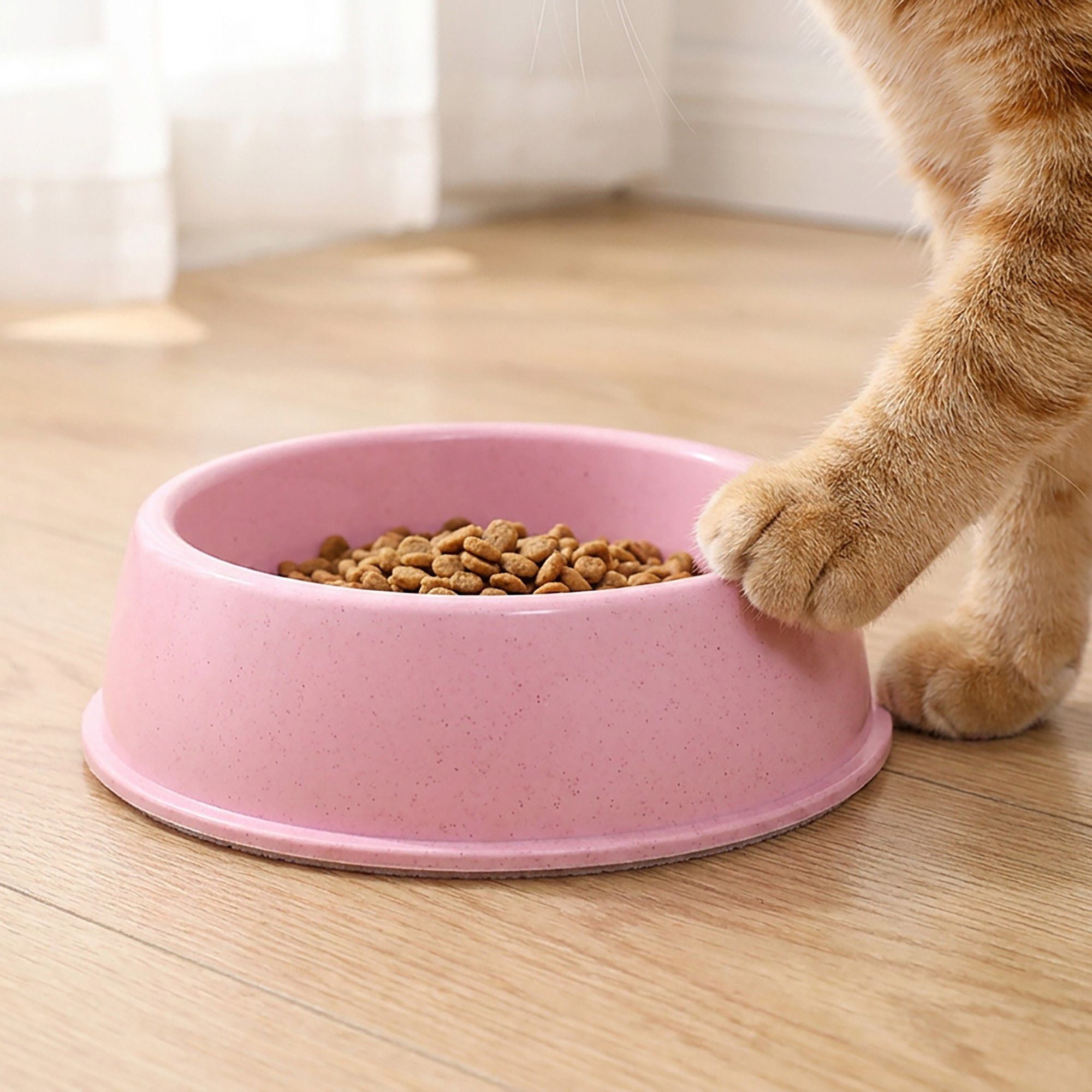 Plastic Pet Food Bowl with Rounded Rim for Cats and Dogs