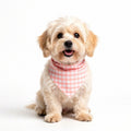 Large Pet Bandana Scarf Pink Gingham Triangle Bib for Dogs and Cats Neckerchief