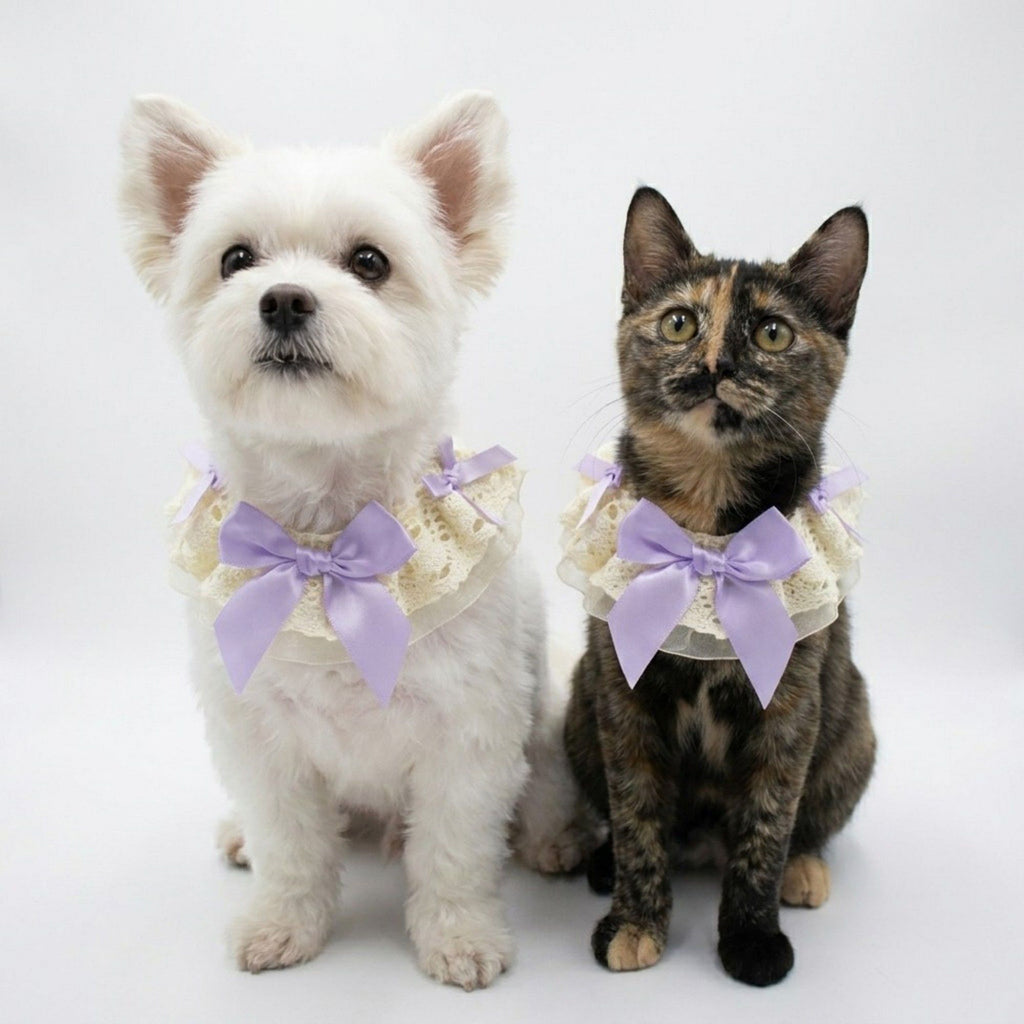 Pet Lace Collar with Bow Accent Decorative Neck Accessory for Dogs and Cats
