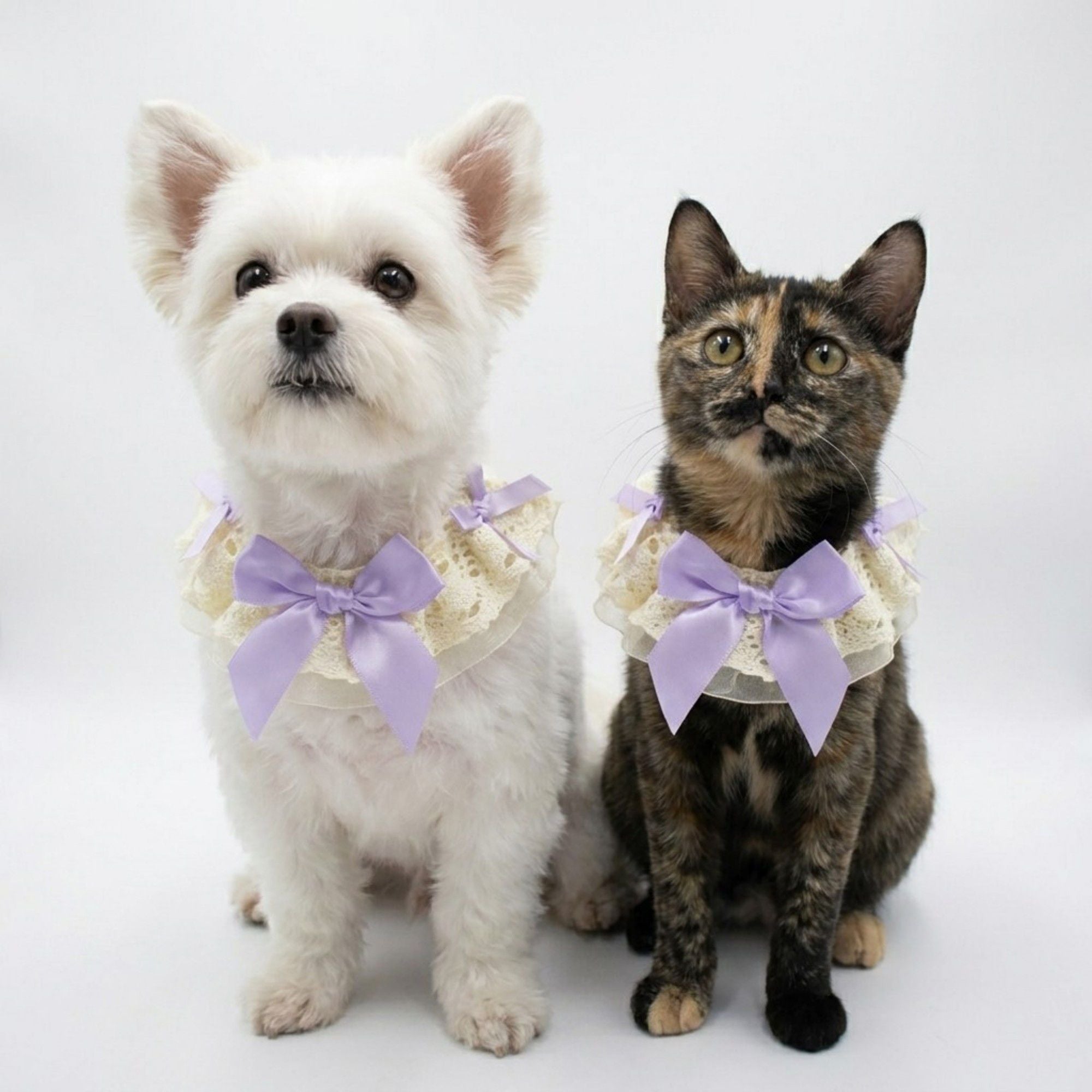 Pet Lace Collar with Bow Accent Decorative Neck Accessory for Dogs and Cats