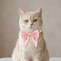 Pet Bow Collar Soft Adjustable Satin Bow Tie with Bell Detail Elegant Neck Accessory