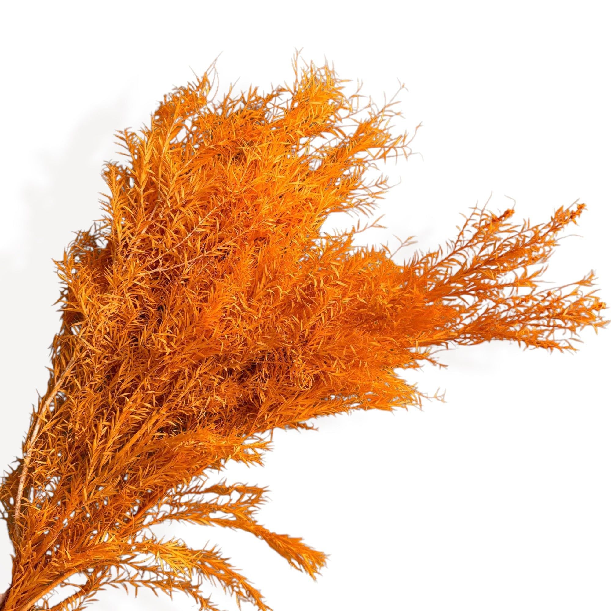 Alilang Dried Flowers Rosemary Branch Arrangement for Home Decor, 29.5 Inches