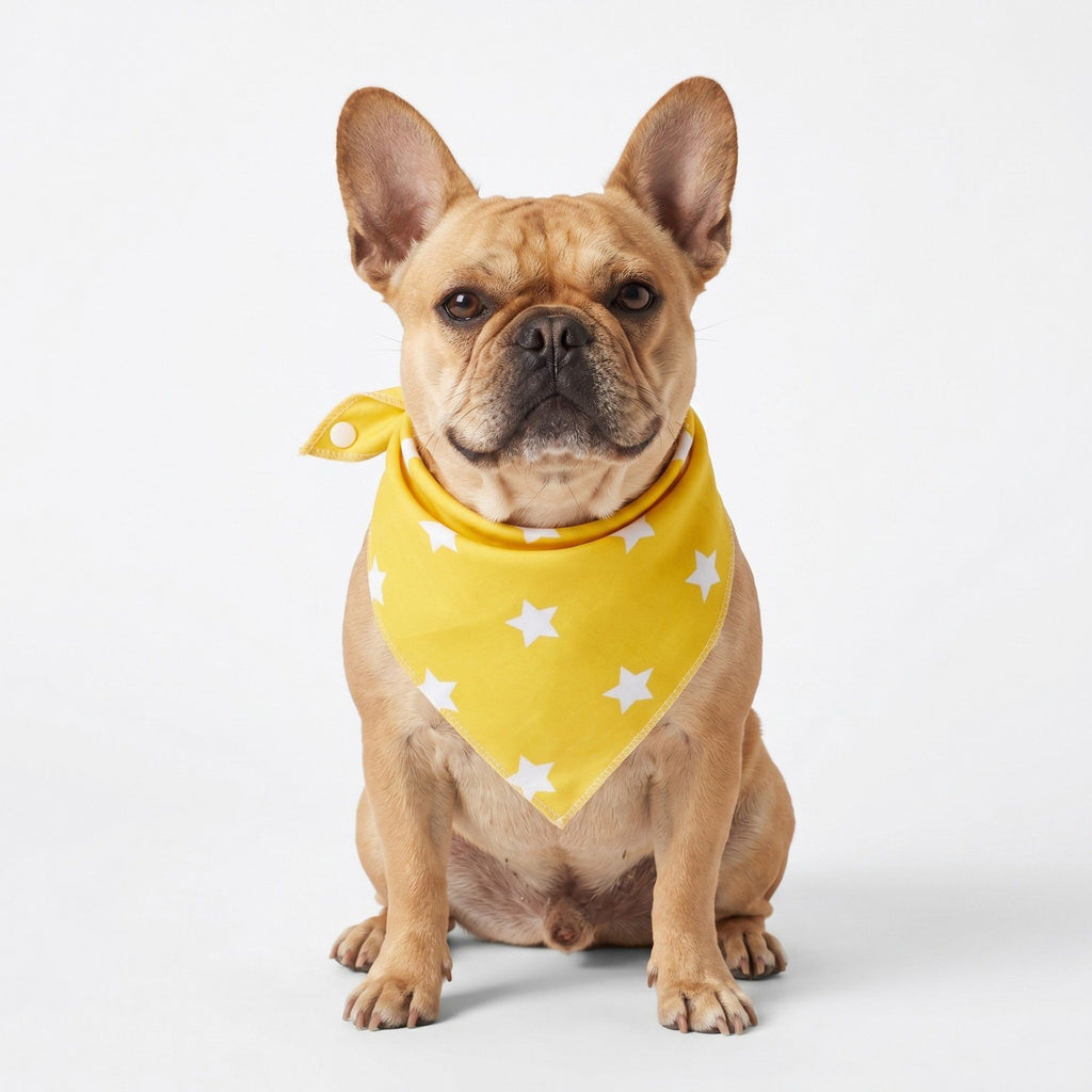 Dog Bandana Scarf Yellow with Black and White Pattern Pet Neck Accessory