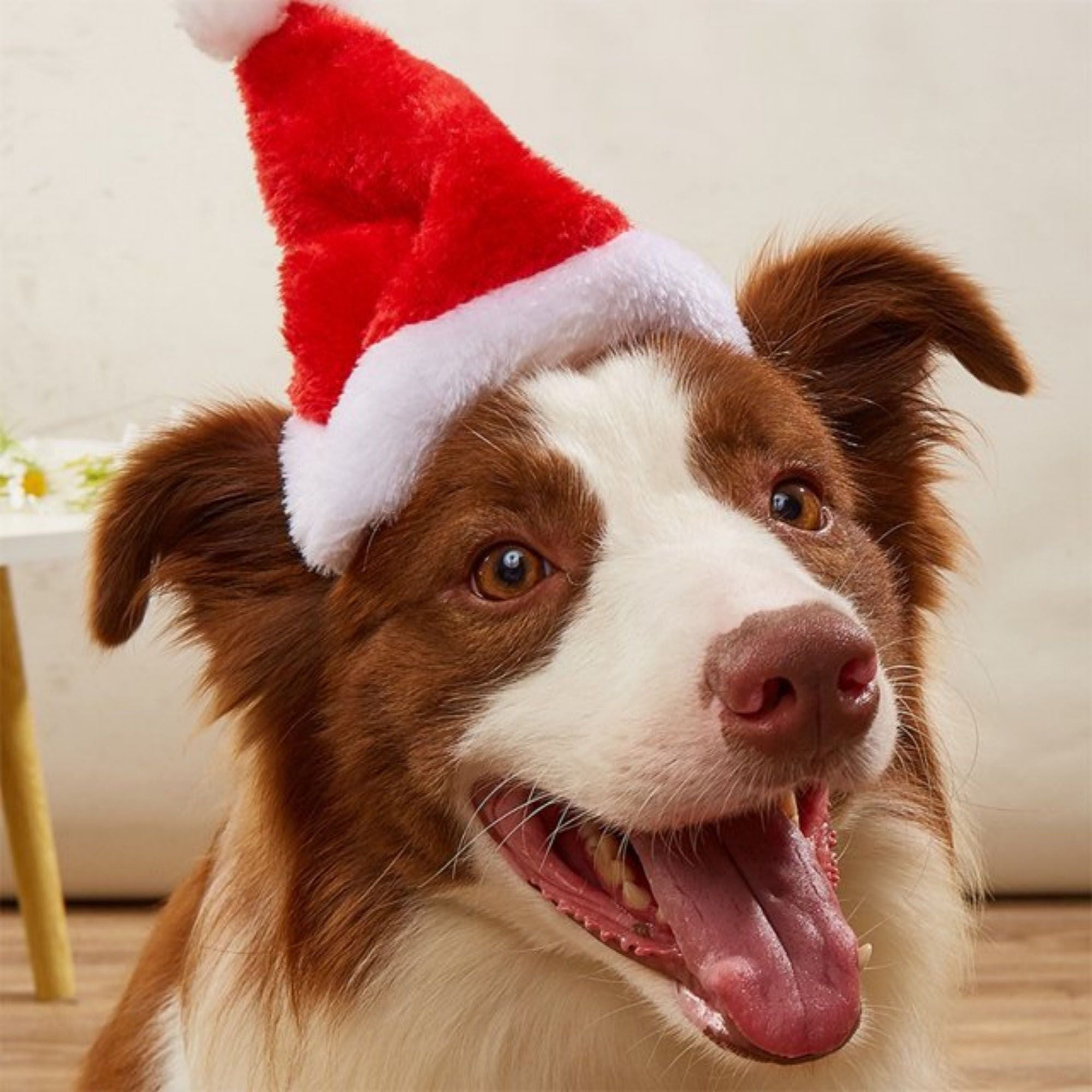 Pet Santa Hat with Elastic Chin Strap for Cats and Dogs