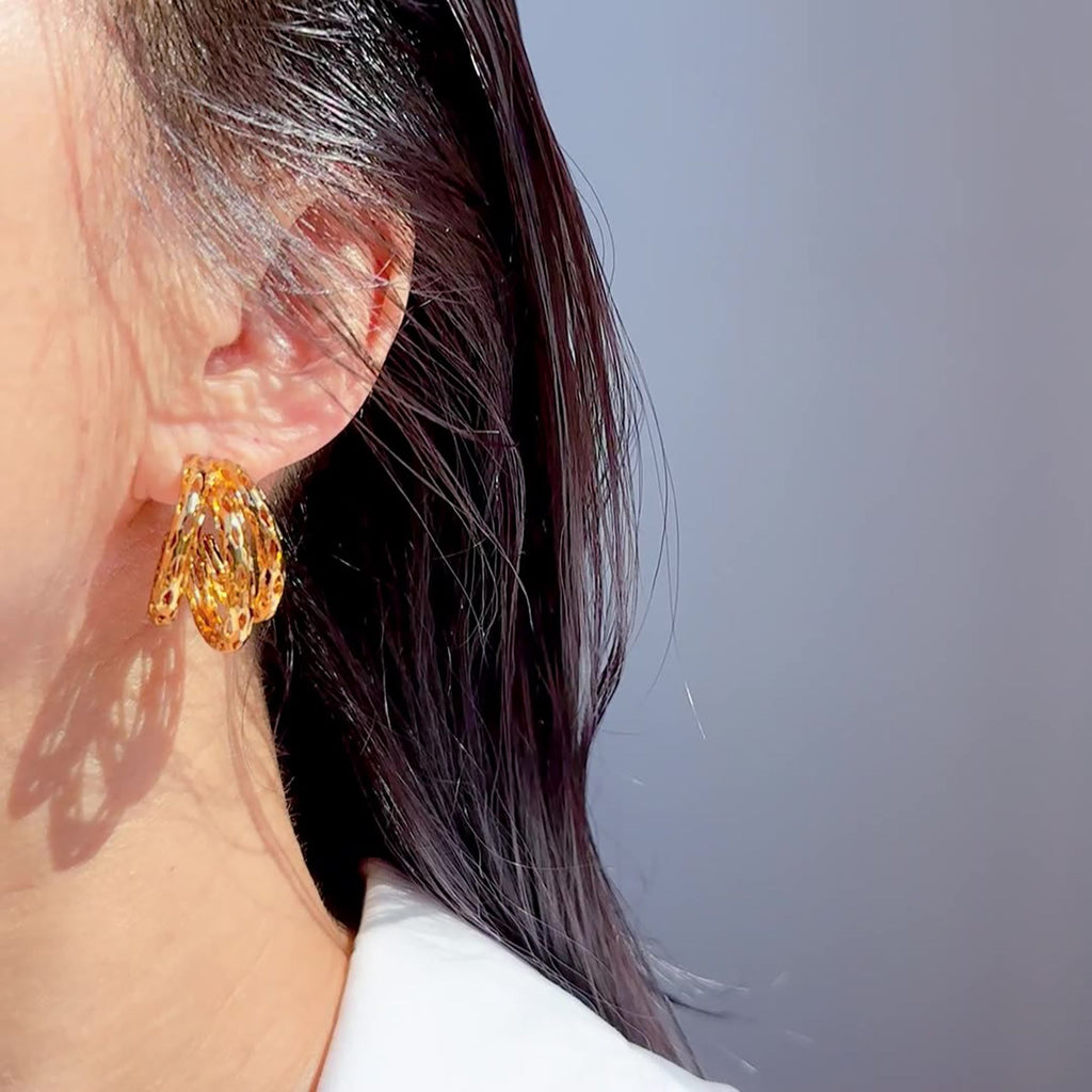 Anna-Kaci Women's Hollow Out Hoop Earrings - 2.5cm Diameter Hoops