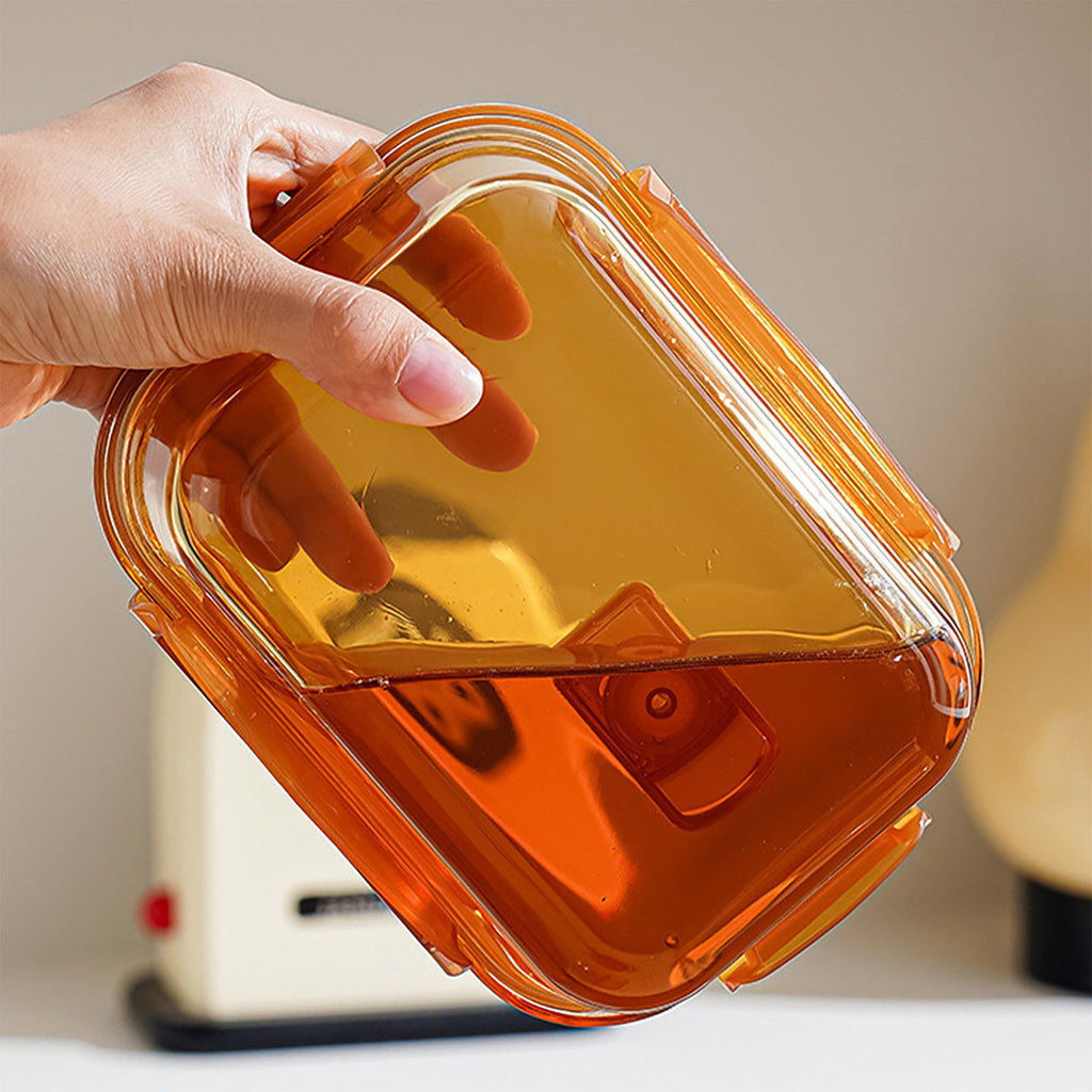 Divided Food Storage Container with Snap Lid and Sauce Compartment