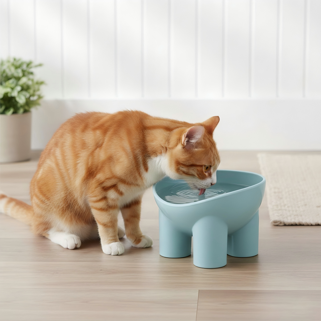 Anna-Kaci Elevated Tilted Cat Food Bowl with Raised Base for Comfortable Feeding