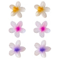 Flower Hair Clips Set 6 Pack Colorful Floral Claw Clips Small Hair Accessories