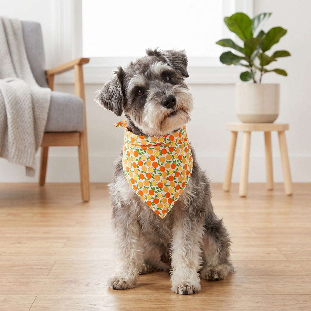 Fruit Print Pet Bandana, Soft Cotton Citrus Pattern Scarf Bib for Small Medium Dogs Cats