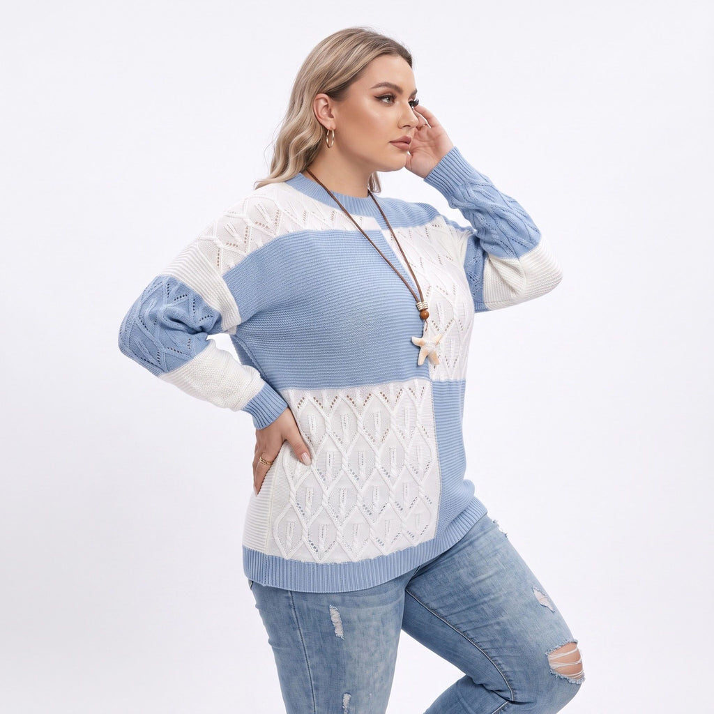 Plus Size Colorblock Pointelle Crewneck Sweater