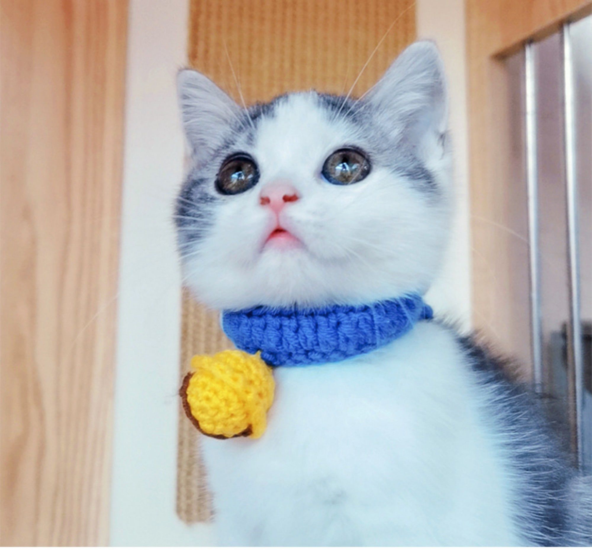 Hand Knit Pet Collar with Soft Crochet Bell Adjustable Silent Collar Necklace for Cats and Small Dogs