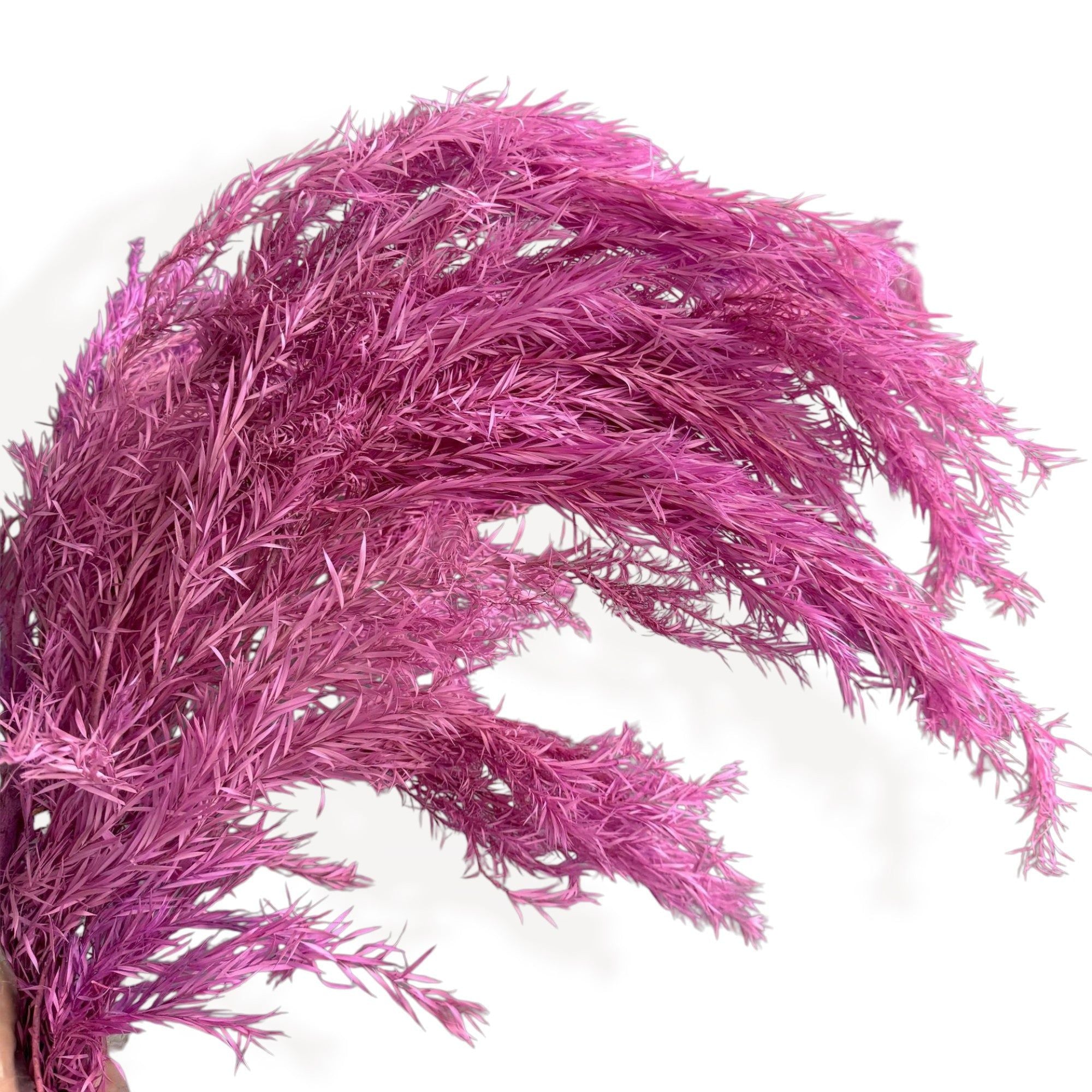 Alilang Dried Flowers Rosemary Branch Arrangement for Home Decor, 29.5 Inches