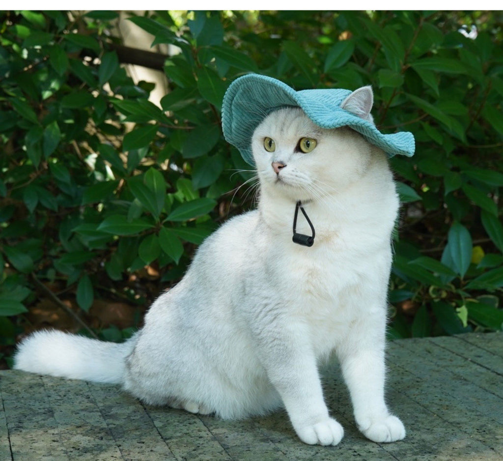 Pet Corduroy Sun Hat with Wide Brim Adjustable Chin Strap Soft Lightweight Outdoor Hat for Cats and Dogs