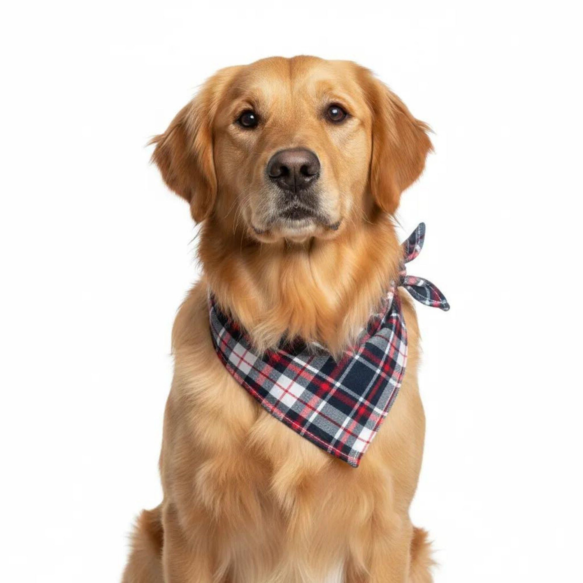 Plaid Pet Bandana Scarf Soft Tie-On Triangle Neck Accessory Classic Check Pattern