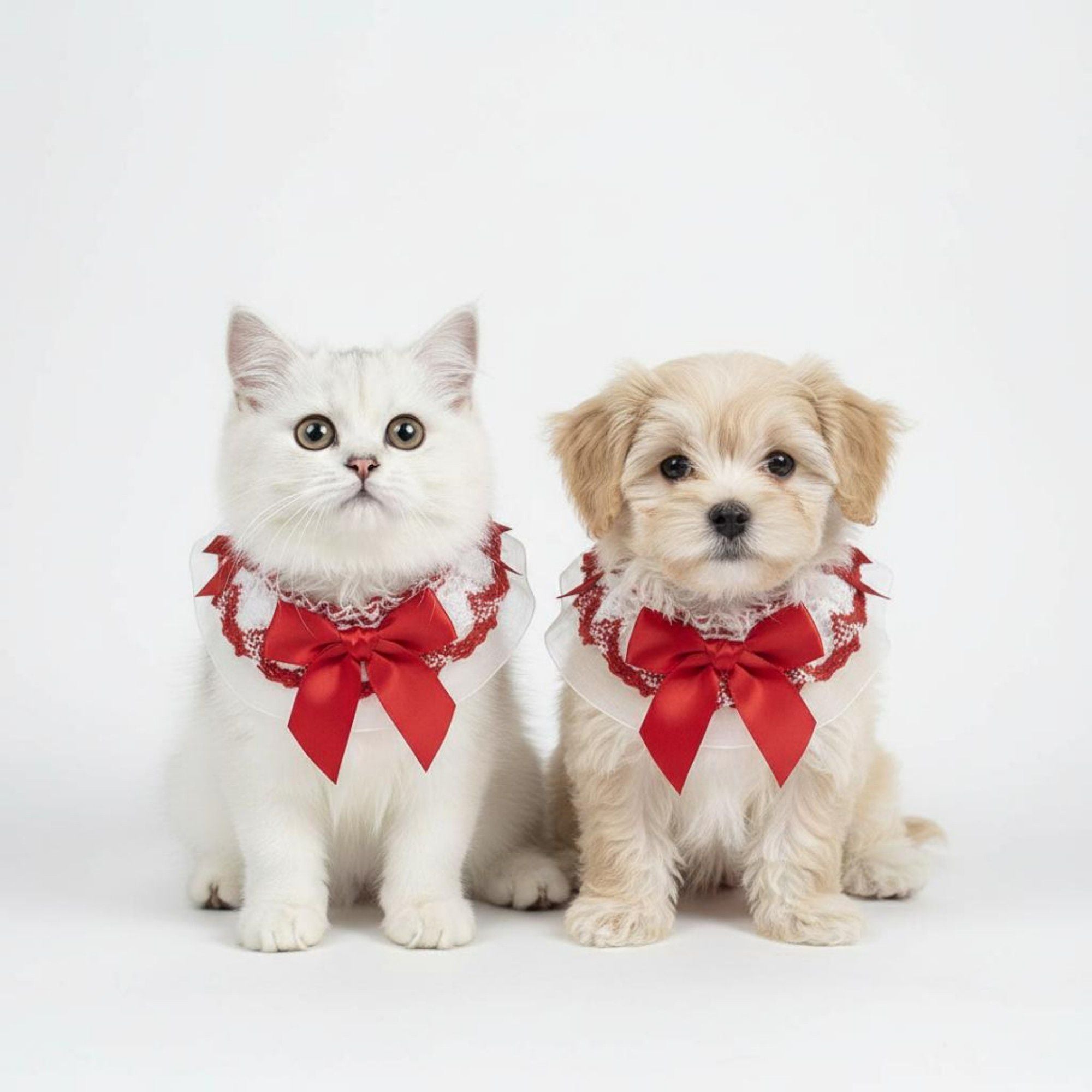 Pet Lace Collar with Bow Accent Decorative Neck Accessory for Dogs and Cats