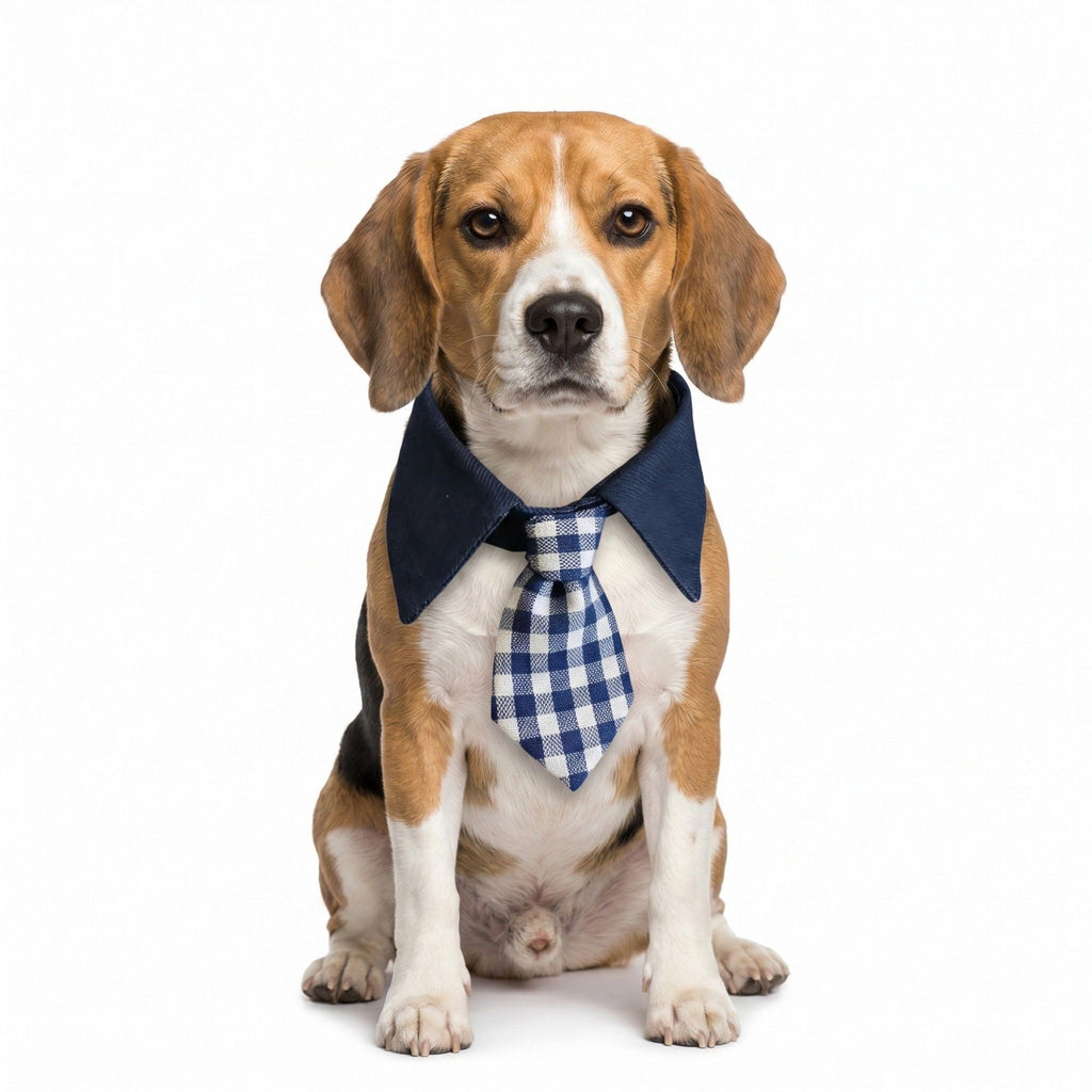 Plaid Pet Necktie Collar, Soft Cotton Gentleman Style Gingham Tie for Small Medium Dogs Cats