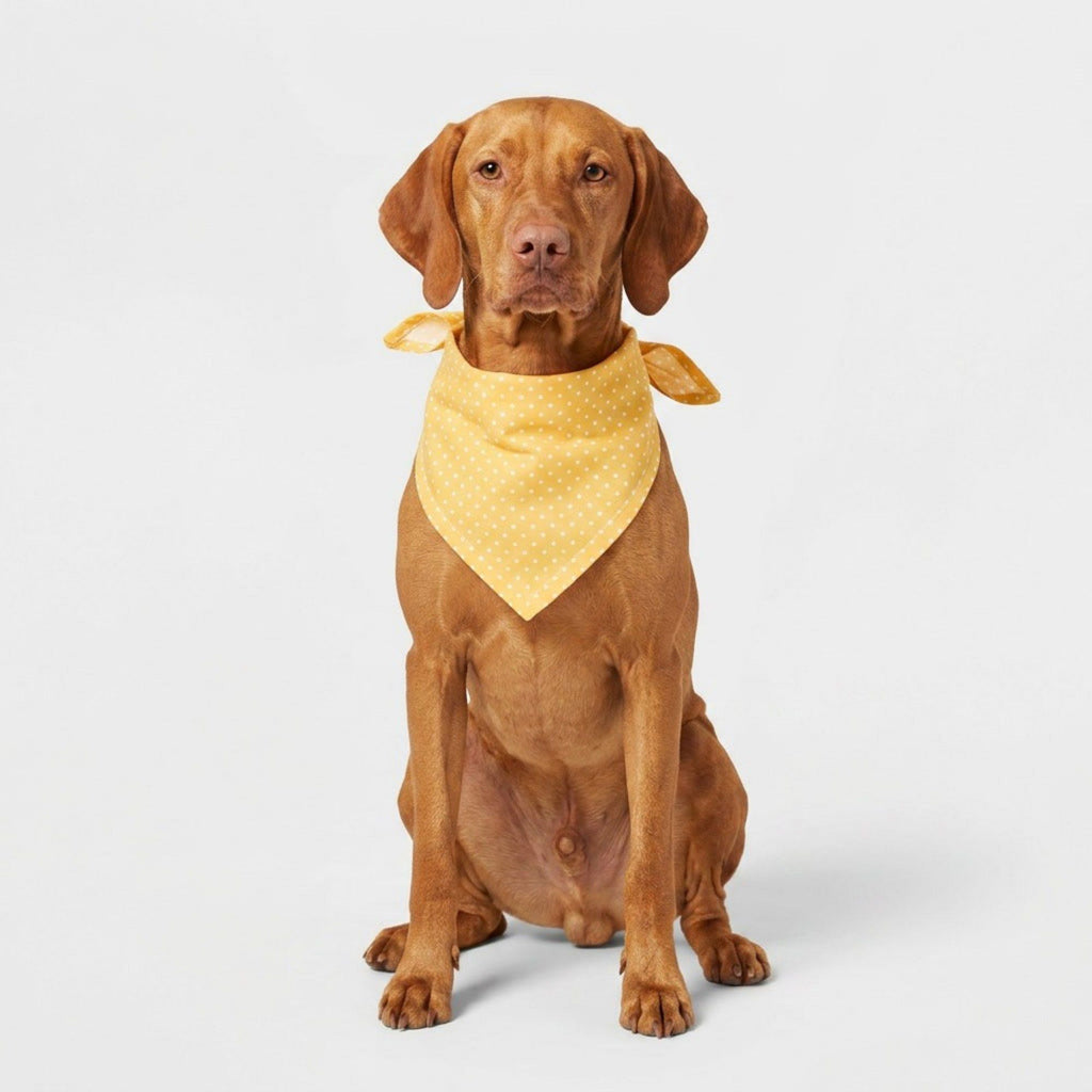 Polka Dot Pet Bandana, Soft Cotton Dotted Scarf Bib for Small Medium Dogs Cats