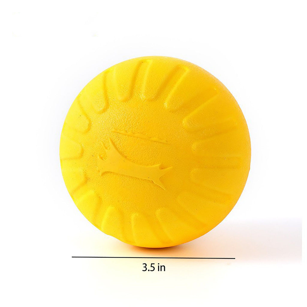 EVA Dog Toy Interactive Fetch Disc and Chew Ball Durable Play Toy for Dogs