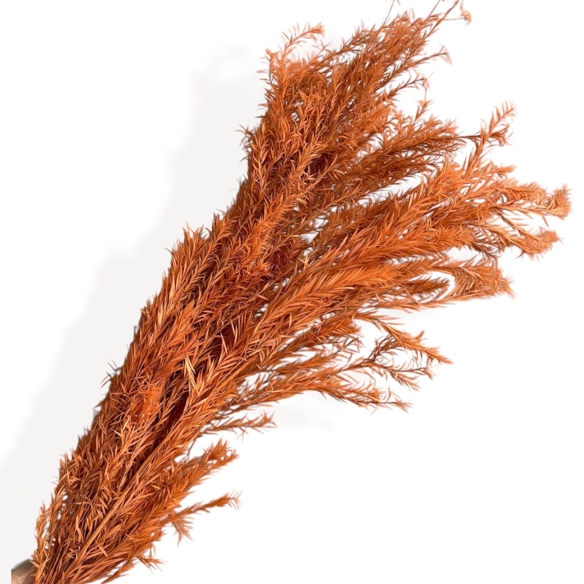 Alilang Dried Flowers Rosemary Branch Arrangement for Home Decor, 29.5 Inches