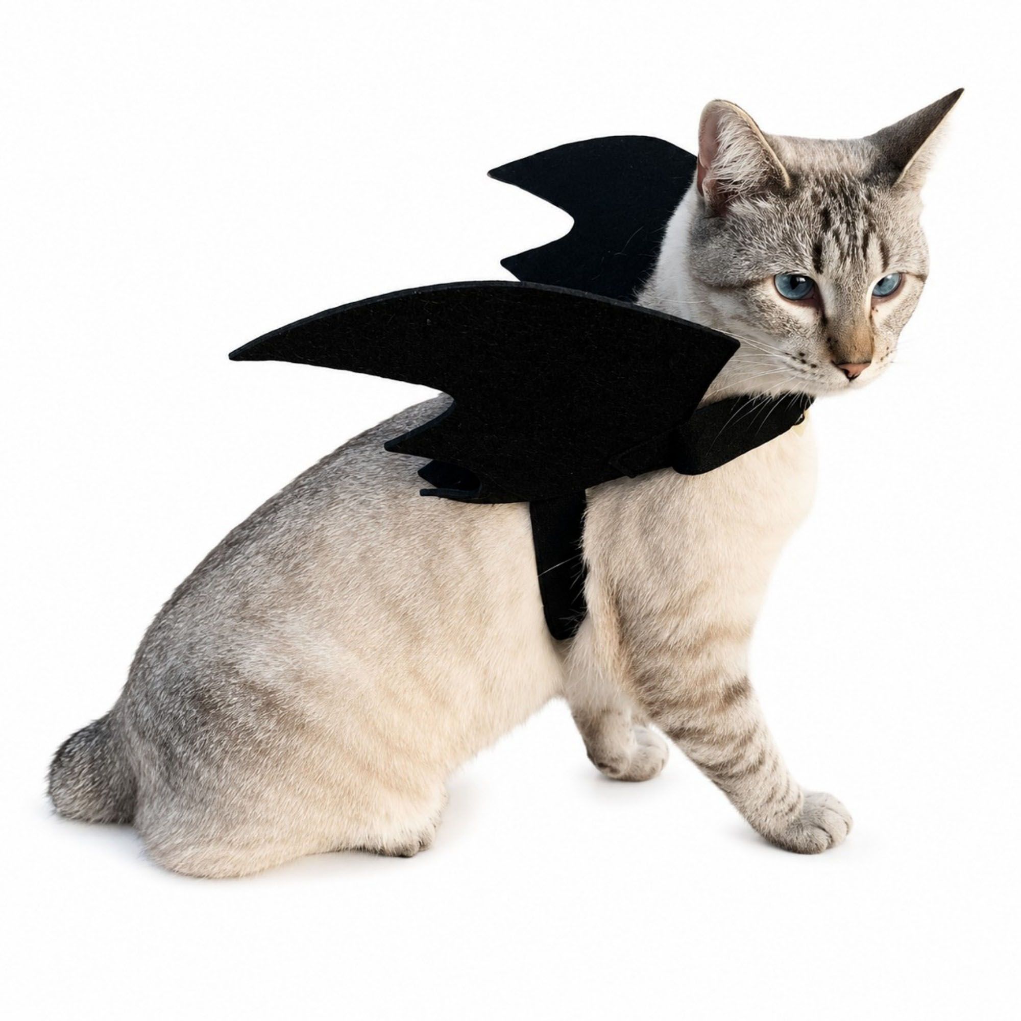 Pet Bat Wings Costume with Adjustable Straps for Cats and Dogs