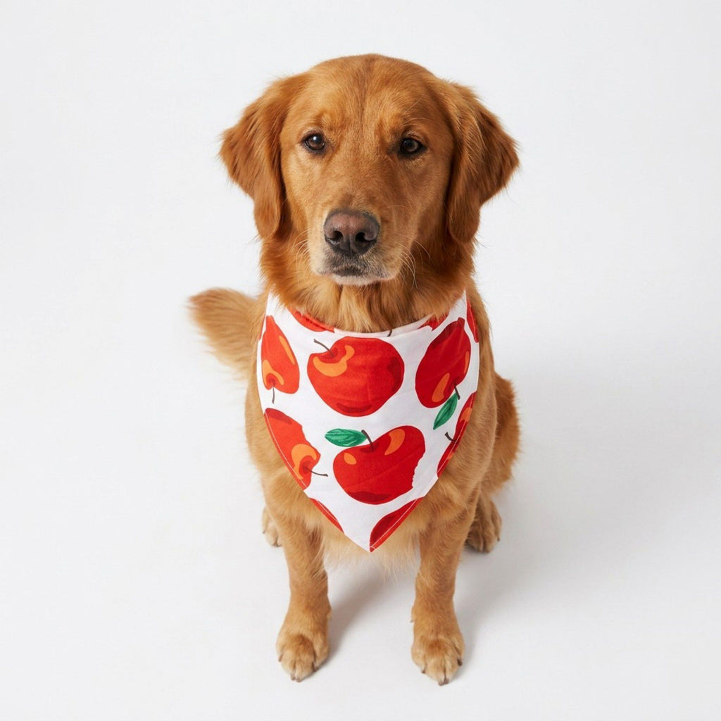 Fruit Print Pet Bandana, Soft Cotton Citrus Pattern Scarf Bib for Small Medium Dogs Cats