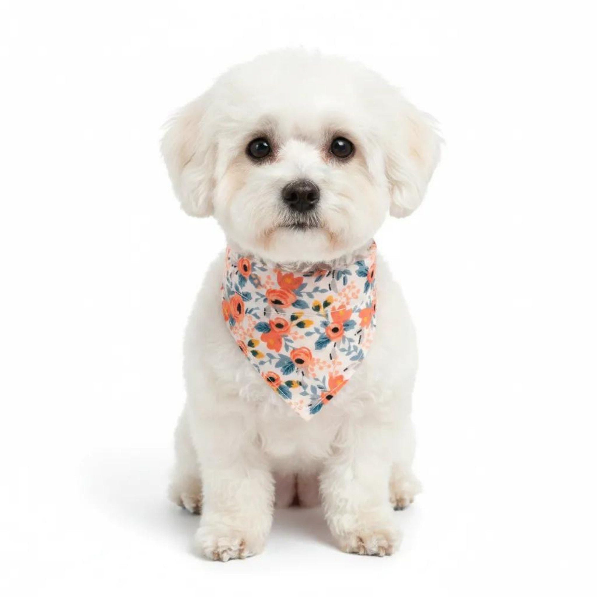 Floral Print Pet Bandana, Soft Cotton Flower Pattern Scarf Collar for Small Medium Dogs Cats