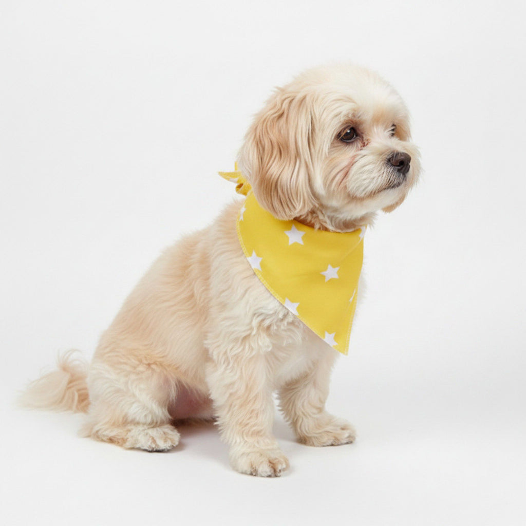 Dog Bandana Scarf Yellow with Black and White Pattern Pet Neck Accessory