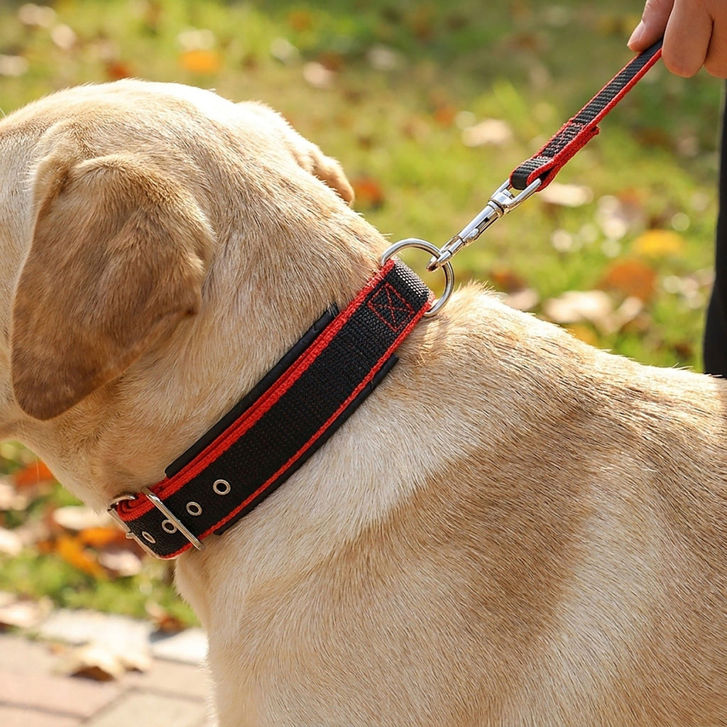 Padded Dog Collar Adjustable Nylon Pet Collar with Metal Buckle Soft Lining
