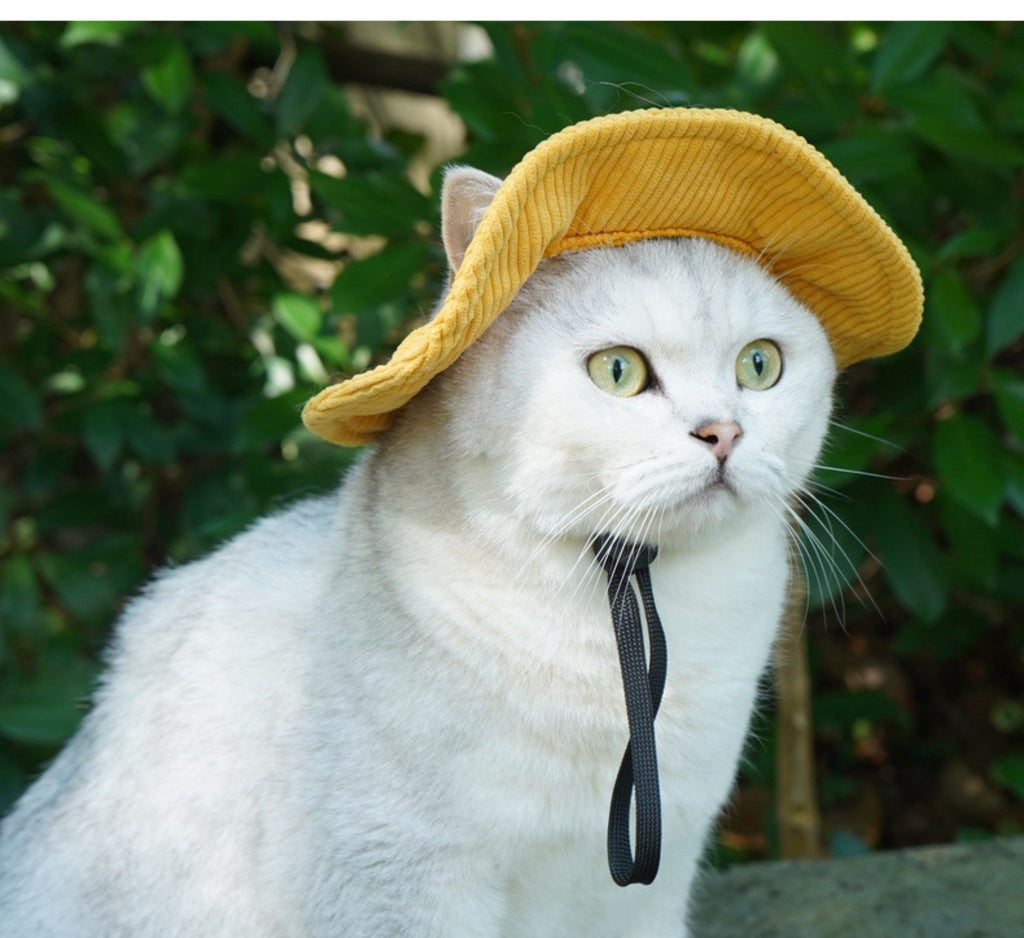 Pet Corduroy Sun Hat with Wide Brim Adjustable Chin Strap Soft Lightweight Outdoor Hat for Cats and Dogs