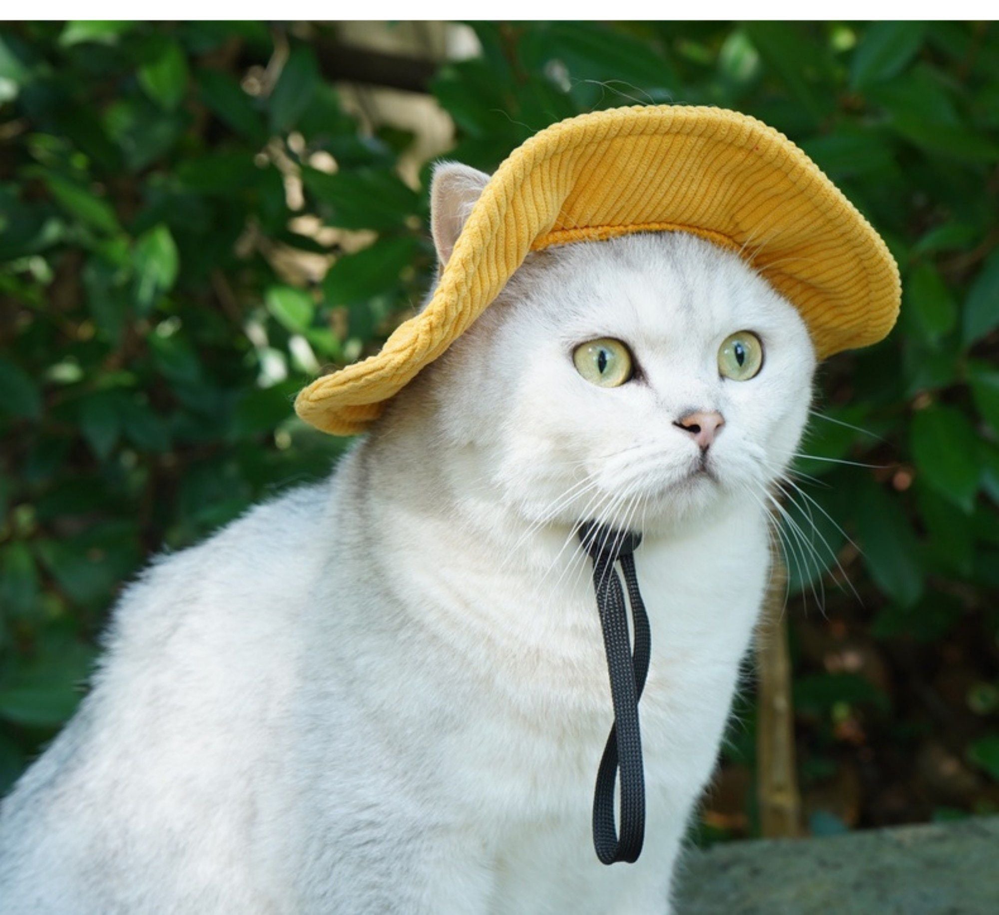Pet Corduroy Sun Hat with Wide Brim Adjustable Chin Strap Soft Lightweight Outdoor Hat for Cats and Dogs