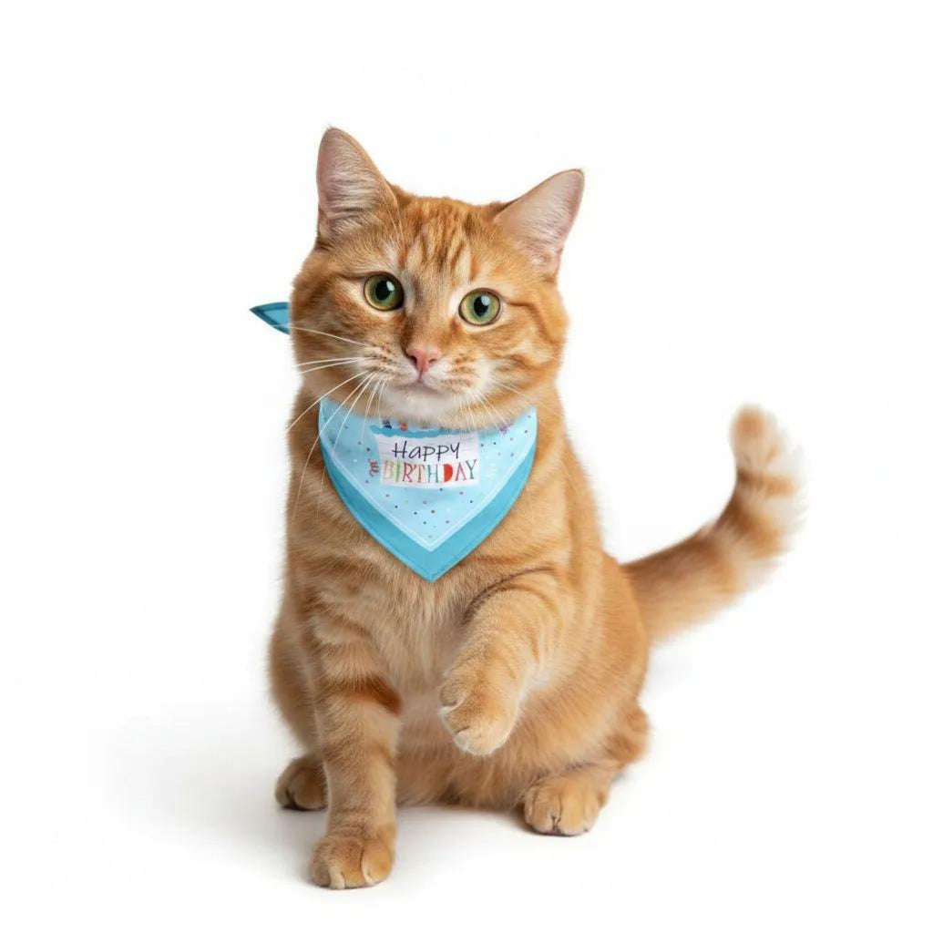 Pet Bandana Collar Soft Adjustable Birthday Print Scarf with Heart Pattern Tie Closure Neckwear