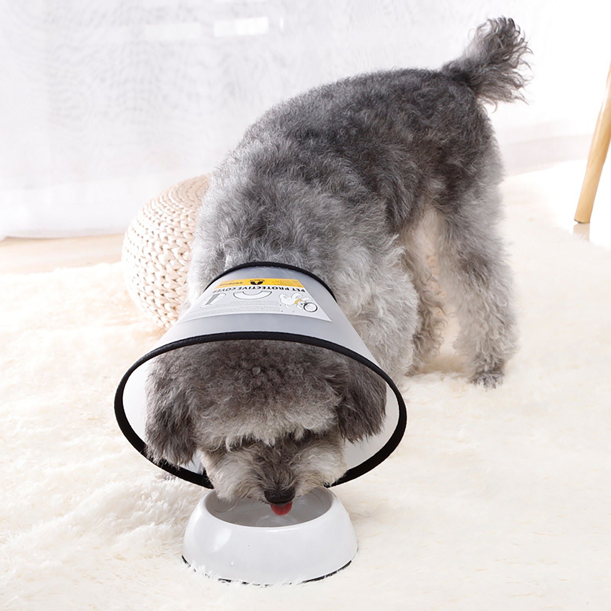 Pet Recovery Cone Collar Adjustable Elizabethan Collar for Dogs and Cats Anti-Lick Guard
