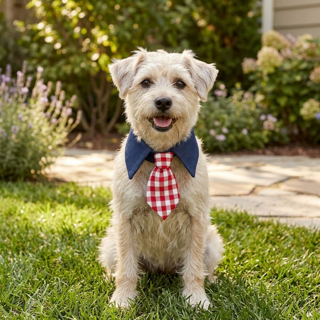 Plaid Pet Necktie Collar, Soft Cotton Gentleman Style Gingham Tie for Small Medium Dogs Cats