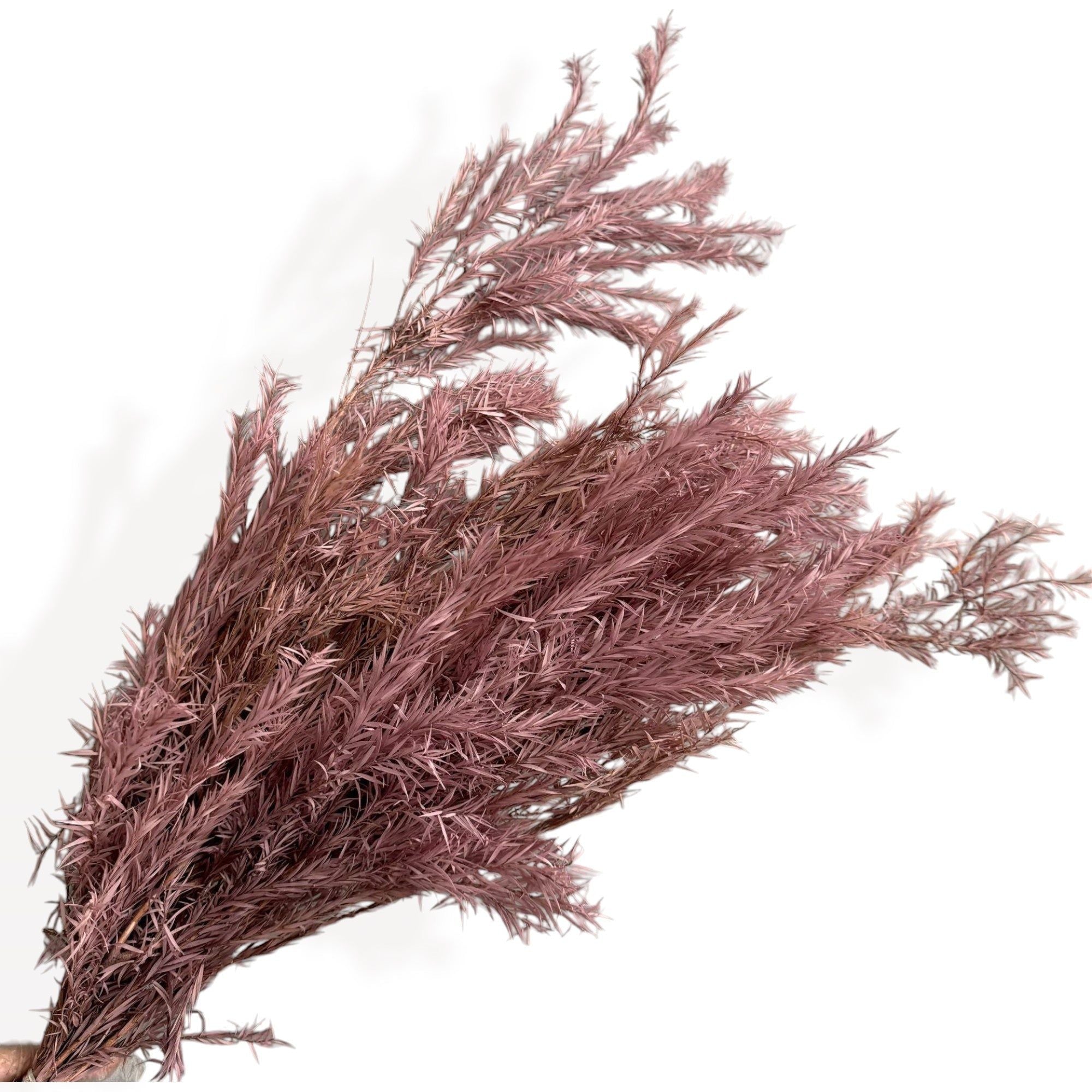 Alilang Dried Flowers Rosemary Branch Arrangement for Home Decor, 29.5 Inches