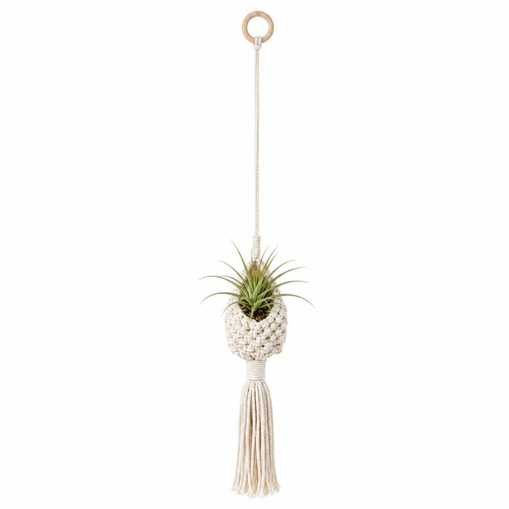 Macrame Hanging Basket with Wood Ring Tassel for Plant and Home Storage