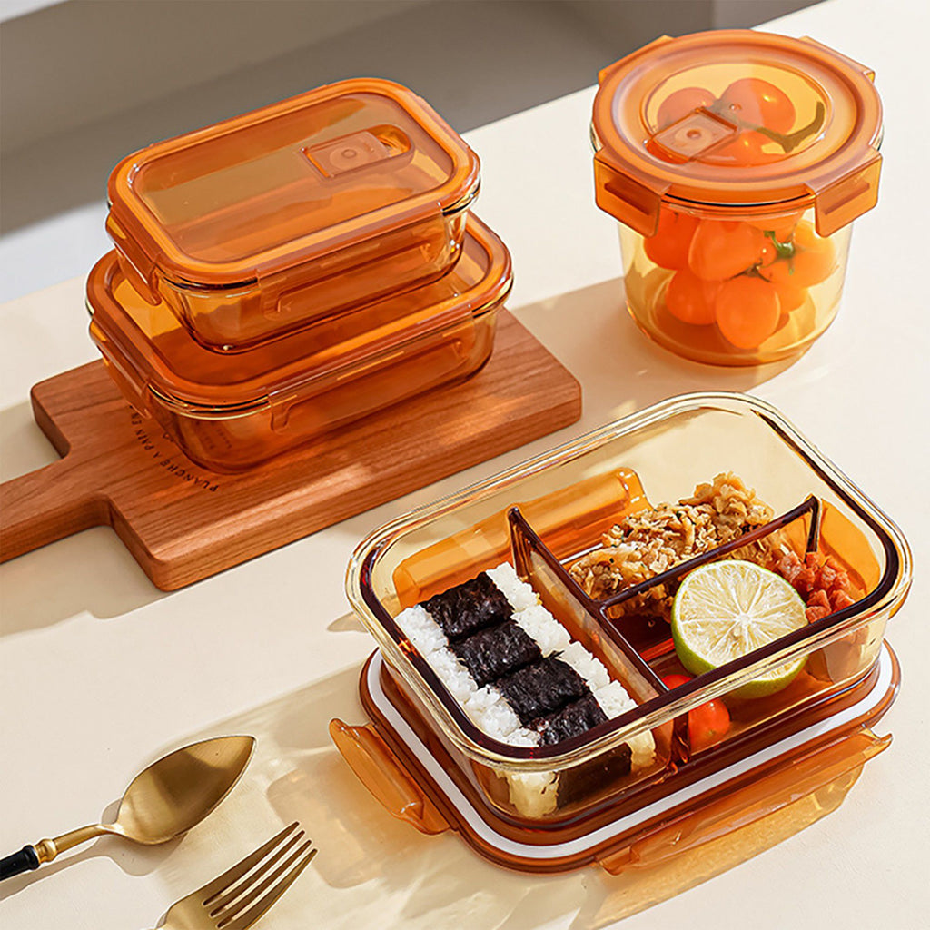Divided Food Storage Container with Snap Lid and Sauce Compartment