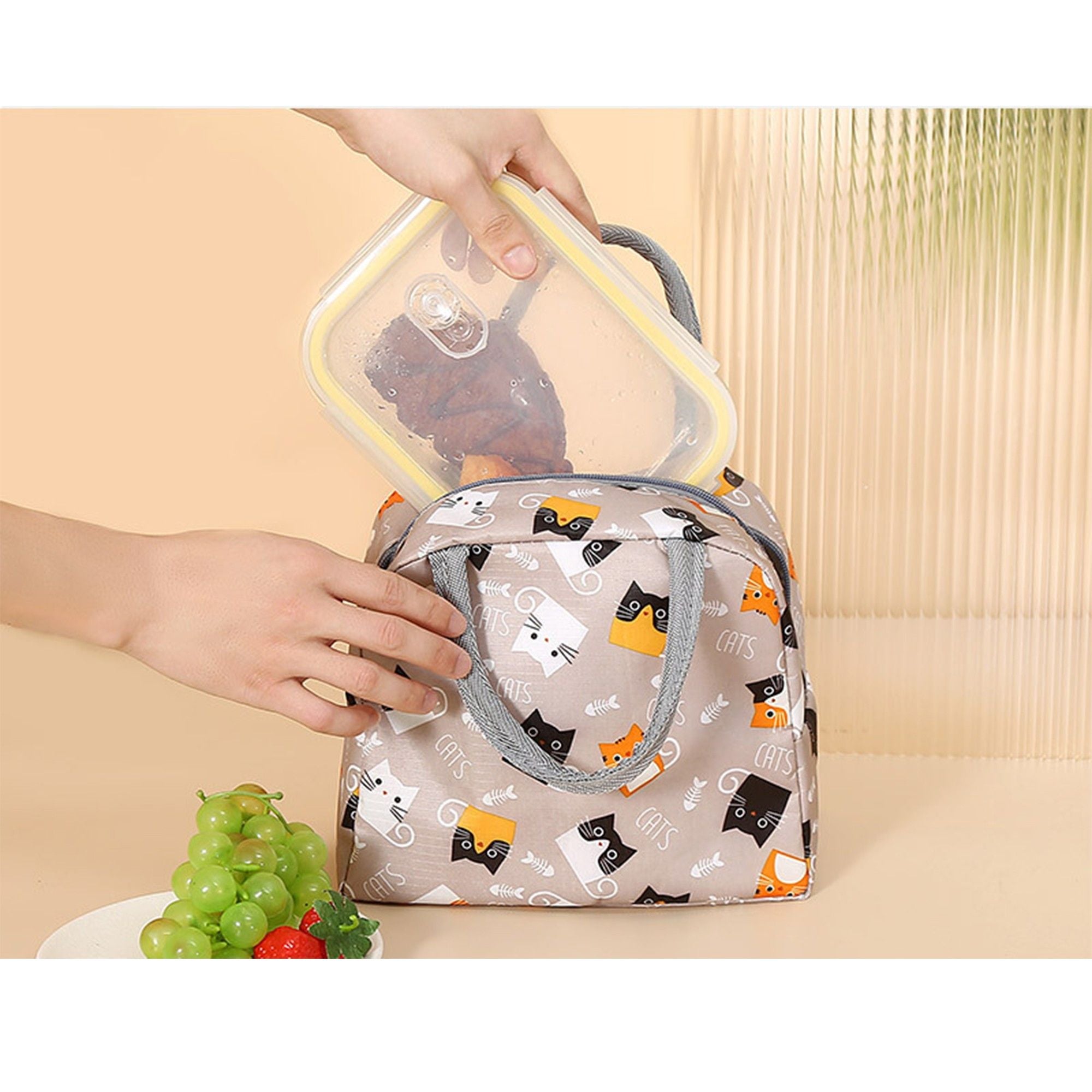 Print Insulated Lunch Bag Portable Reusable Lunch Tote with Handles