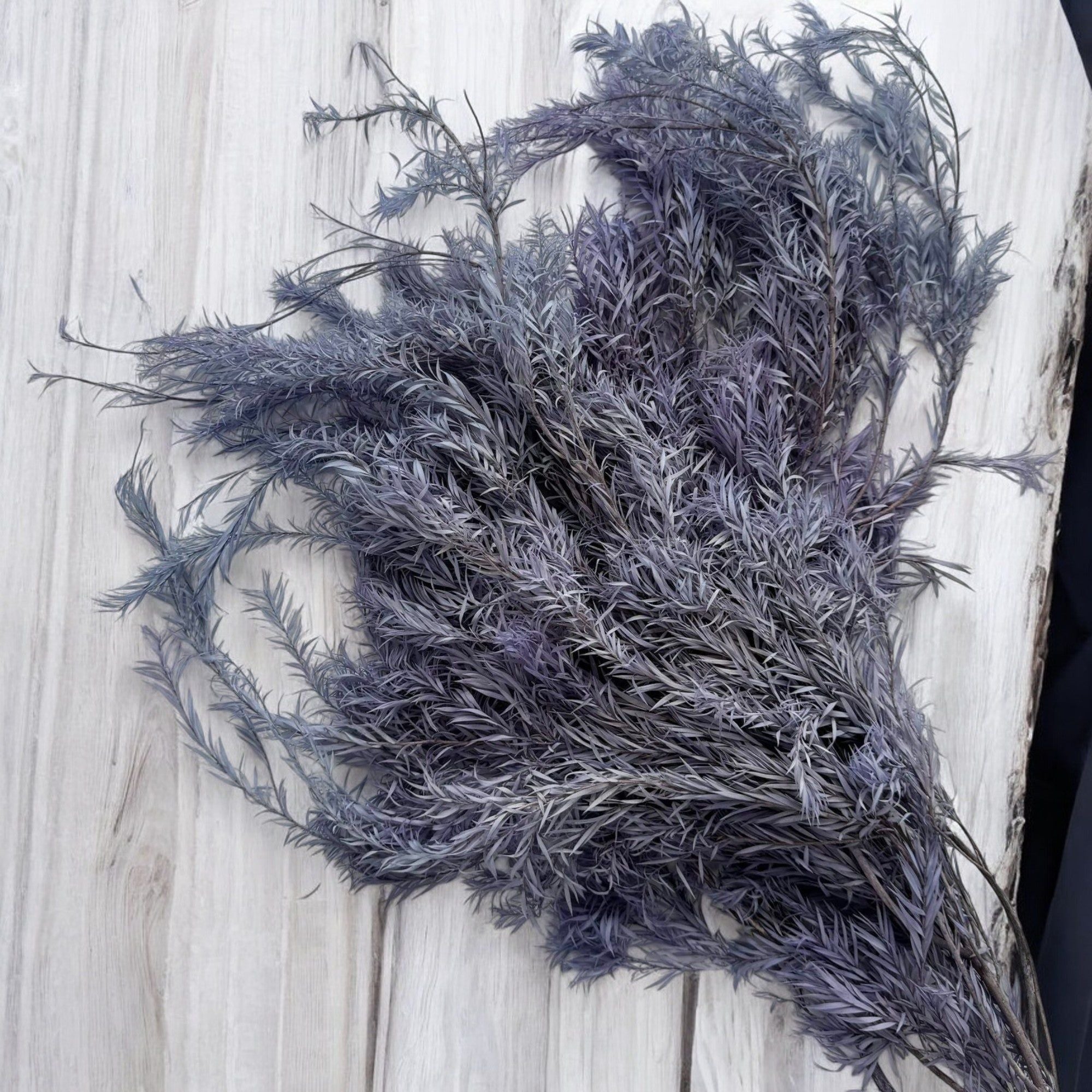Alilang Dried Flowers Rosemary Branch Arrangement for Home Decor, 29.5 Inches