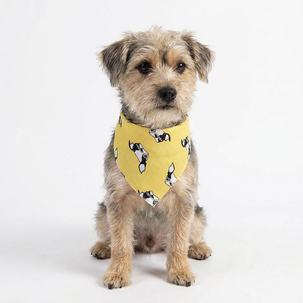 Dog Bandana Scarf Yellow with Black and White Pattern Pet Neck Accessory
