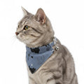 White pet product with collared, small dogs and casual outings