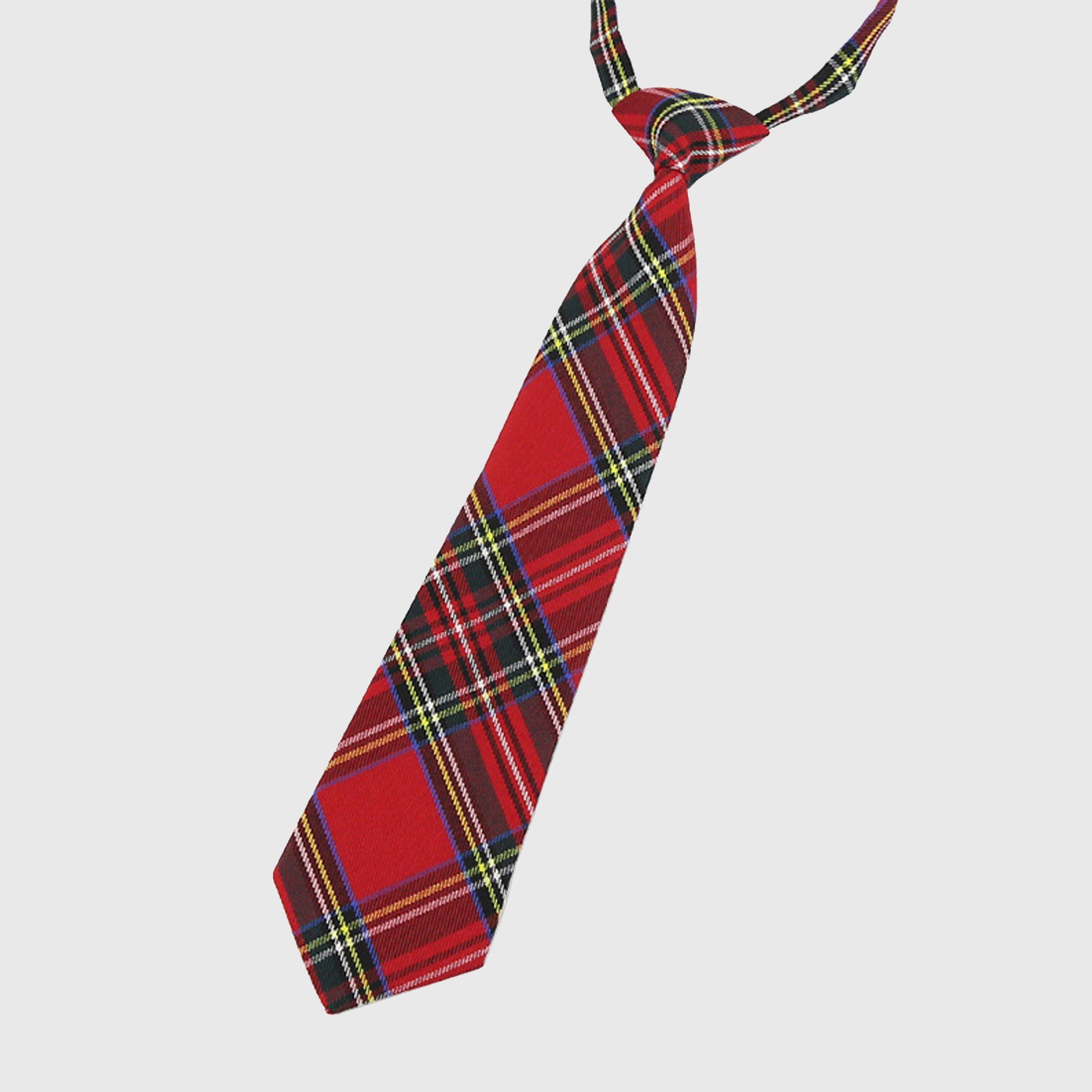 Anna-Kaci Women's Plaid Pre-Tied Necktie - Stylish Accessory for Casual, Office & School Outfits