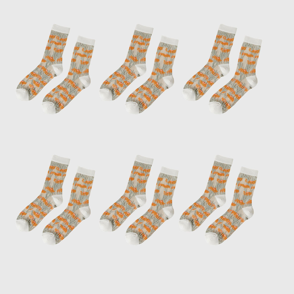 Anna-Kaci Women's Floral Embroidered Sheer Ankle Socks 6pk