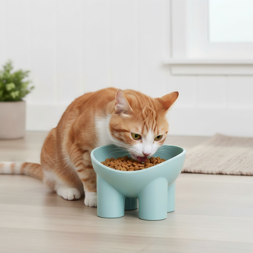 Anna-Kaci Elevated Tilted Cat Food Bowl with Raised Base for Comfortable Feeding