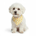 Pet Bandana Scarf Duck Pattern Decorative Neck Accessory for Dogs and Cats
