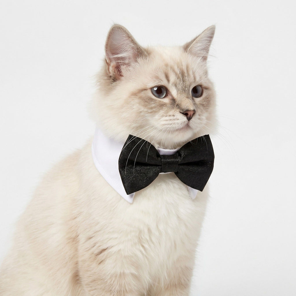 Pet Holiday Crochet Collar and Bowtie Set for Cats and Dogs Adjustable and Festive