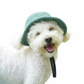 Yellow pet product with corduroy and photo moments