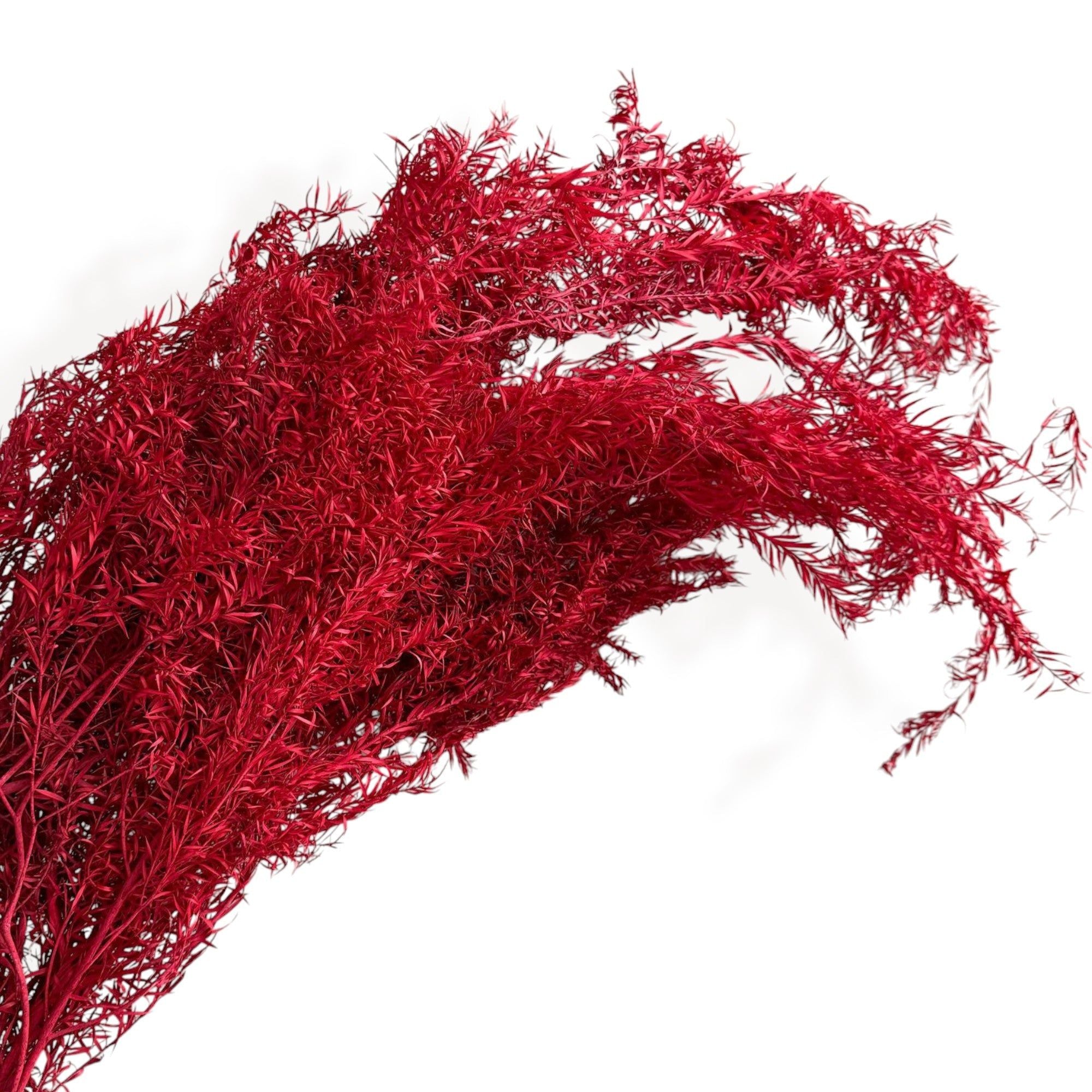 Alilang Dried Flowers Rosemary Branch Arrangement for Home Decor, 29.5 Inches