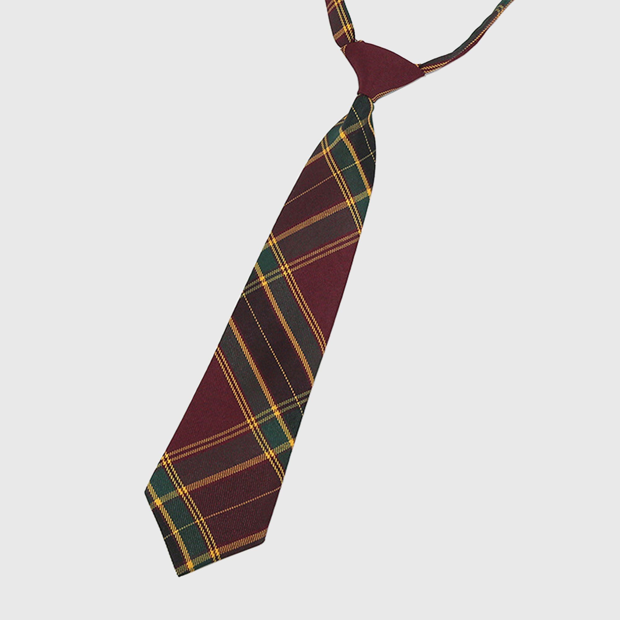 Anna-Kaci Women's Plaid Pre-Tied Necktie - Stylish Accessory for Casual, Office & School Outfits