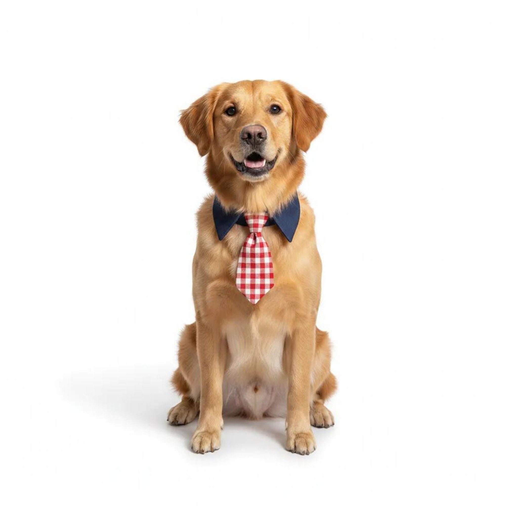 Plaid Pet Necktie Collar, Soft Cotton Gentleman Style Gingham Tie for Small Medium Dogs Cats